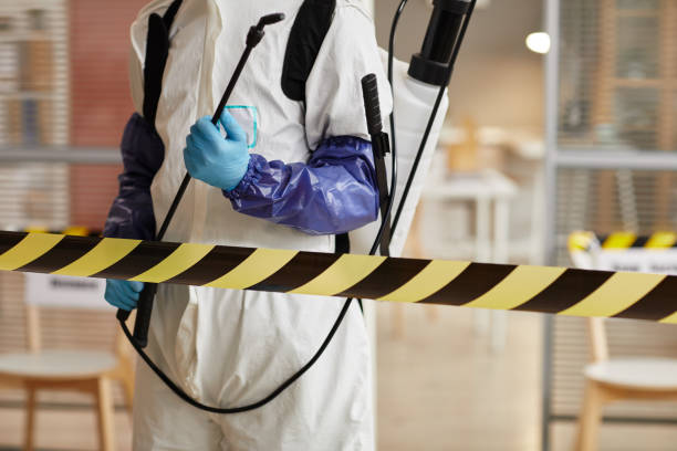 Professional Hoarding Cleanup technician working in Bass Lake, IN